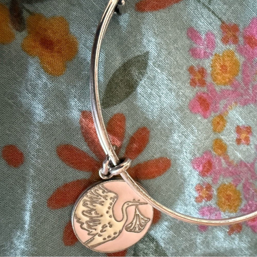 ALEX AND ANI Stork Pink Bangle - Picture 3 of 3